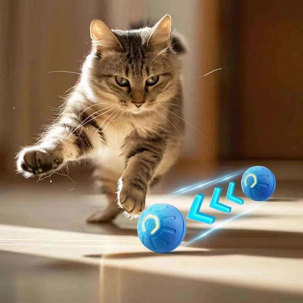 Jumping Dog Toy Ball