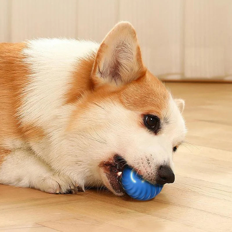 Jumping Dog Toy Ball