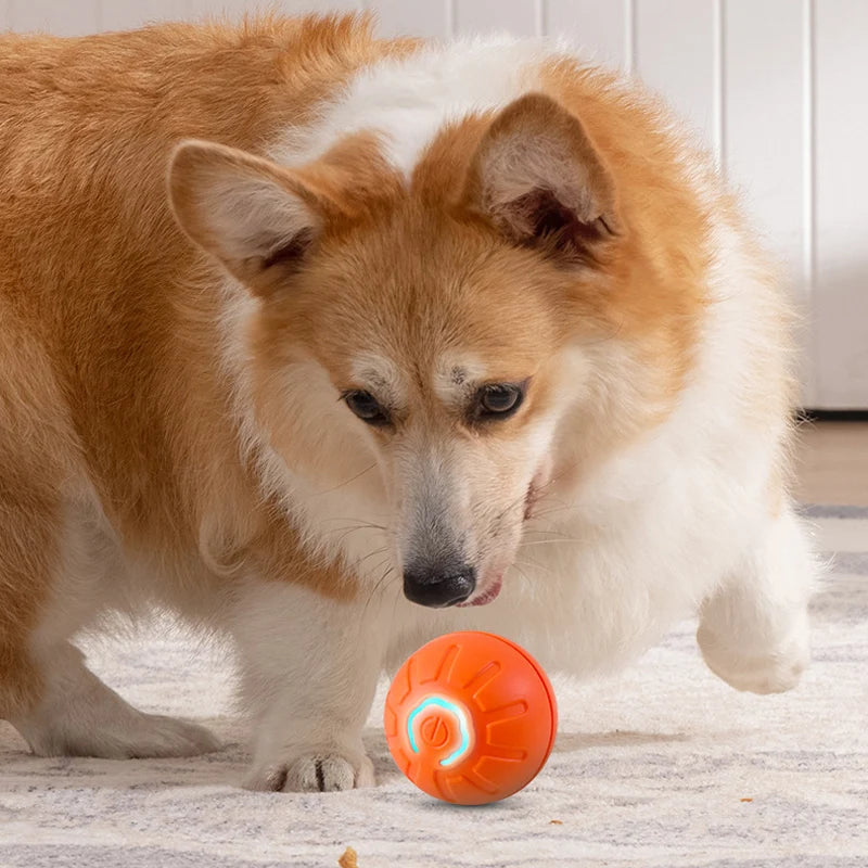 Jumping Dog Toy Ball