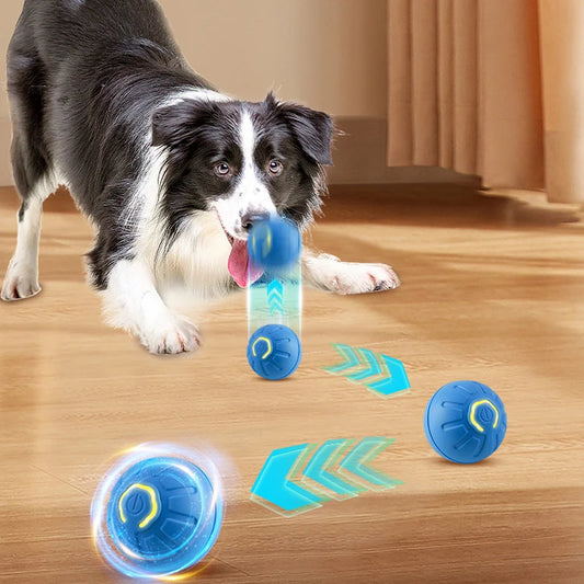 Jumping Dog Toy Ball