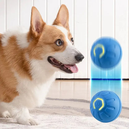 Jumping Dog Toy Ball